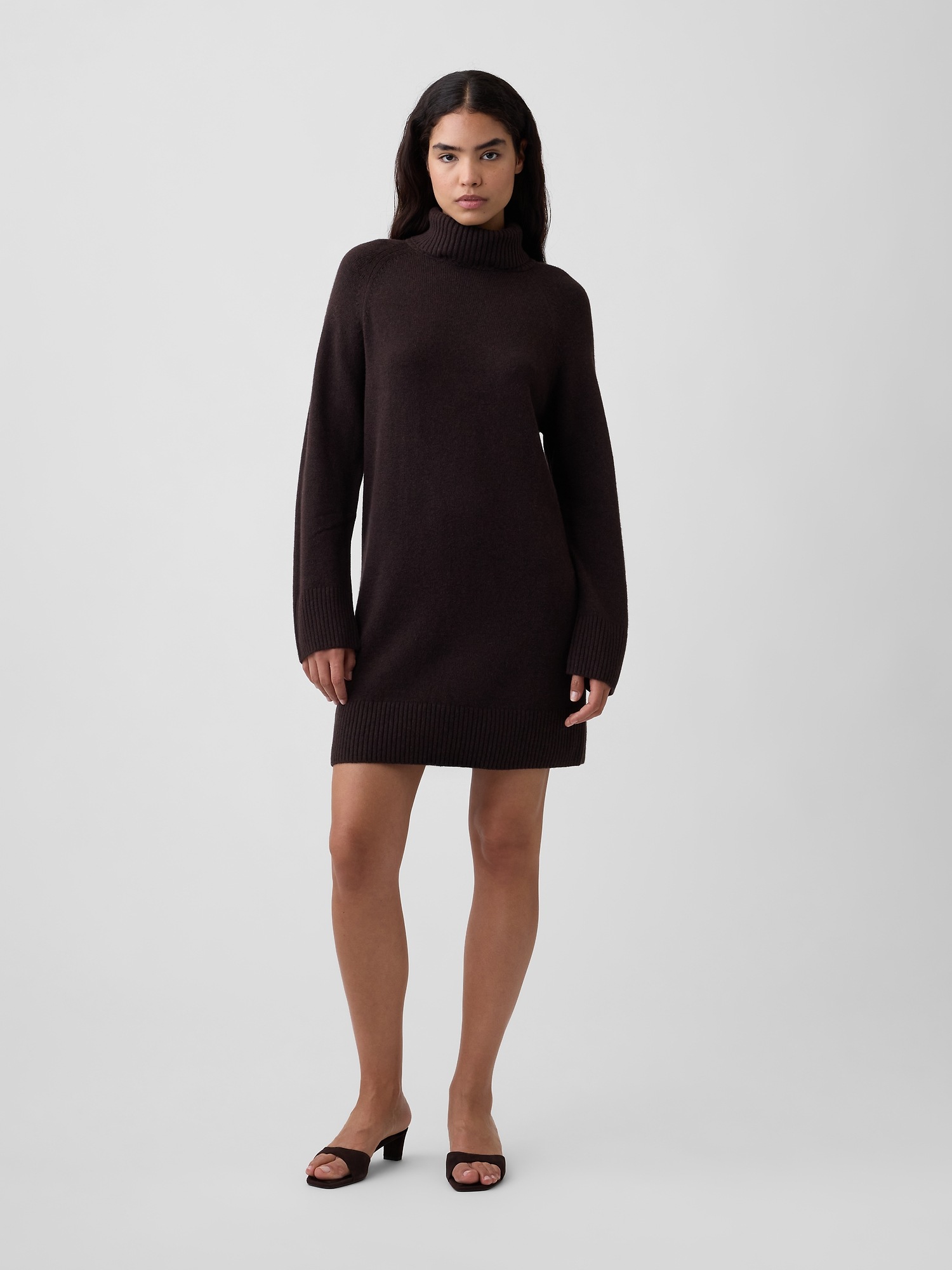 CashSoft Relaxed Turtleneck Mini Dress